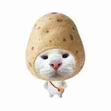 Kende Kende Profile Picture